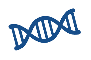 DNA Synthesis
