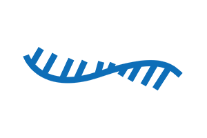 RNA Synthesis
