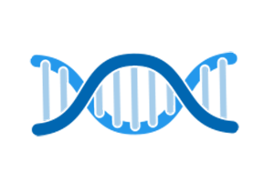 Gene & Plasmid