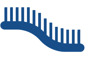 mRNA Synthesis