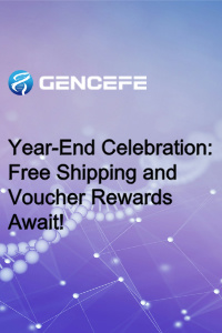 Year-End Celebration: Free Shipping and Voucher Rewards Await!