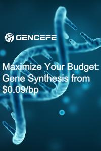 Maximize Your Budget: Gene Synthesis from $0.09/bp