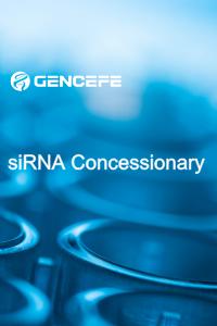 siRNA Concessionary
