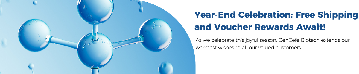 Year-End Celebration: Free Shipping and Voucher Rewards Await!