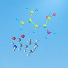 Peptide Synthesis