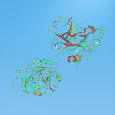 Protein Expression & Purification