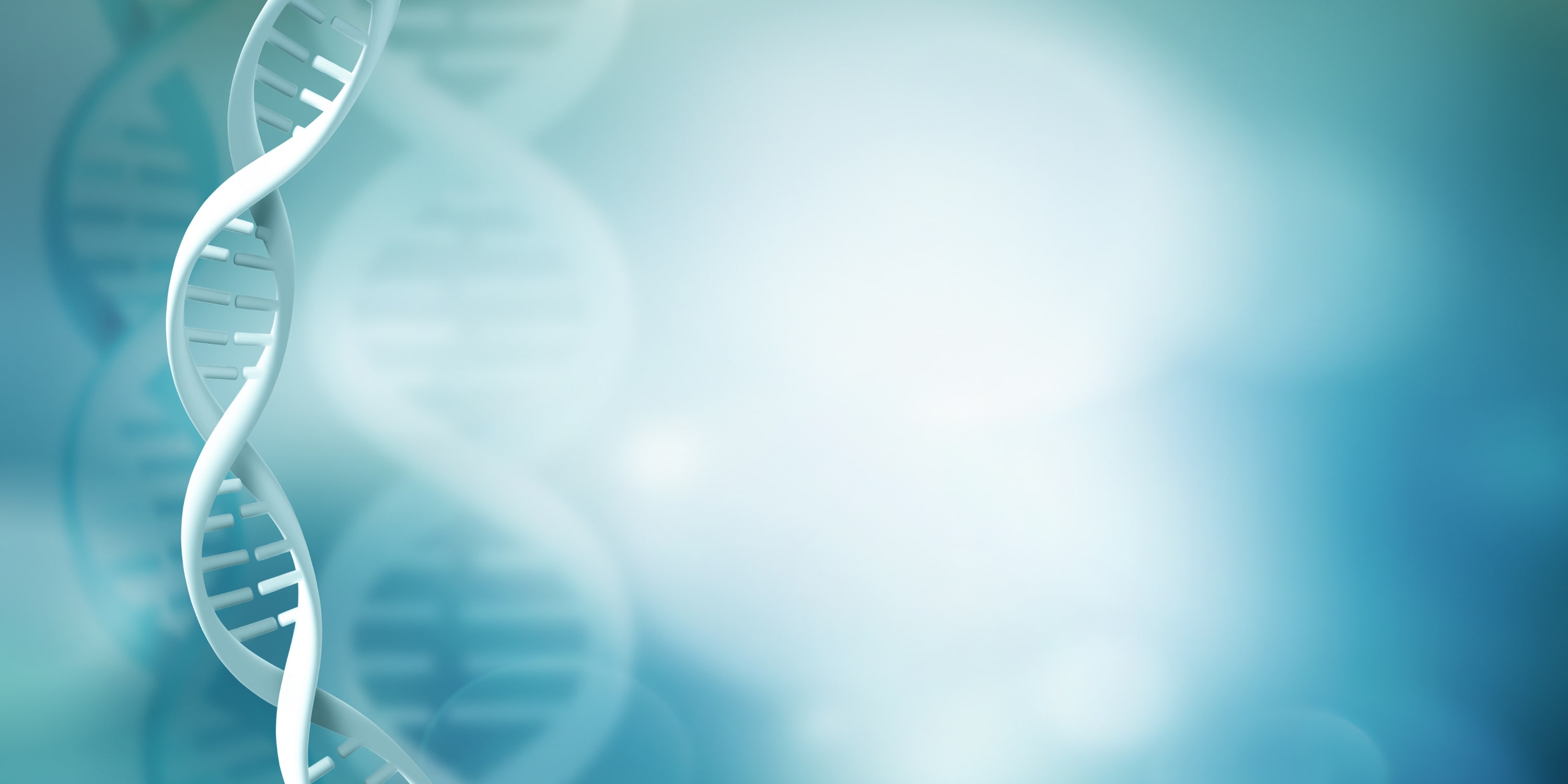 What are the functions of Digoxigenin modification?