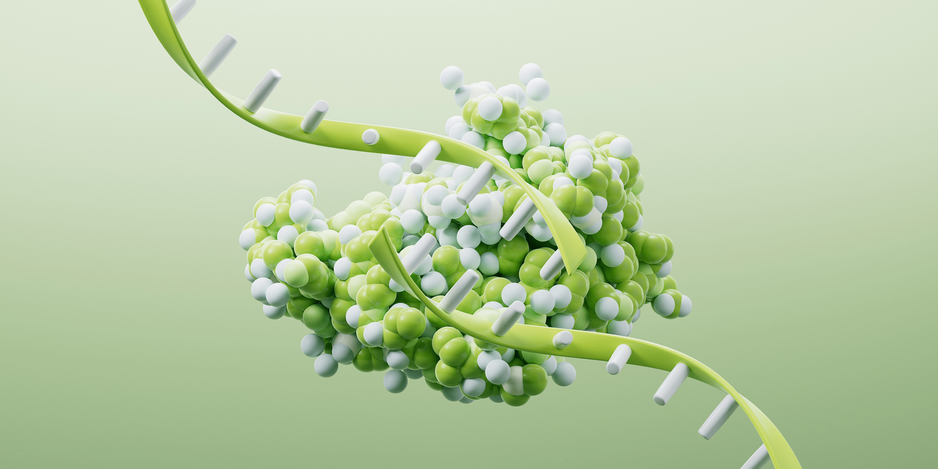 What yeast strains are commonly used for protein expression?
