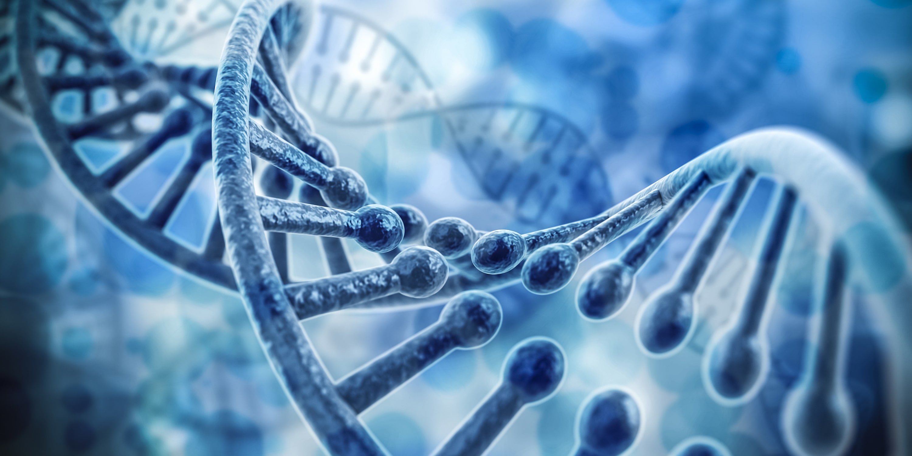 What are the functions of Locked Nucleic Acid (LNA) modification? 