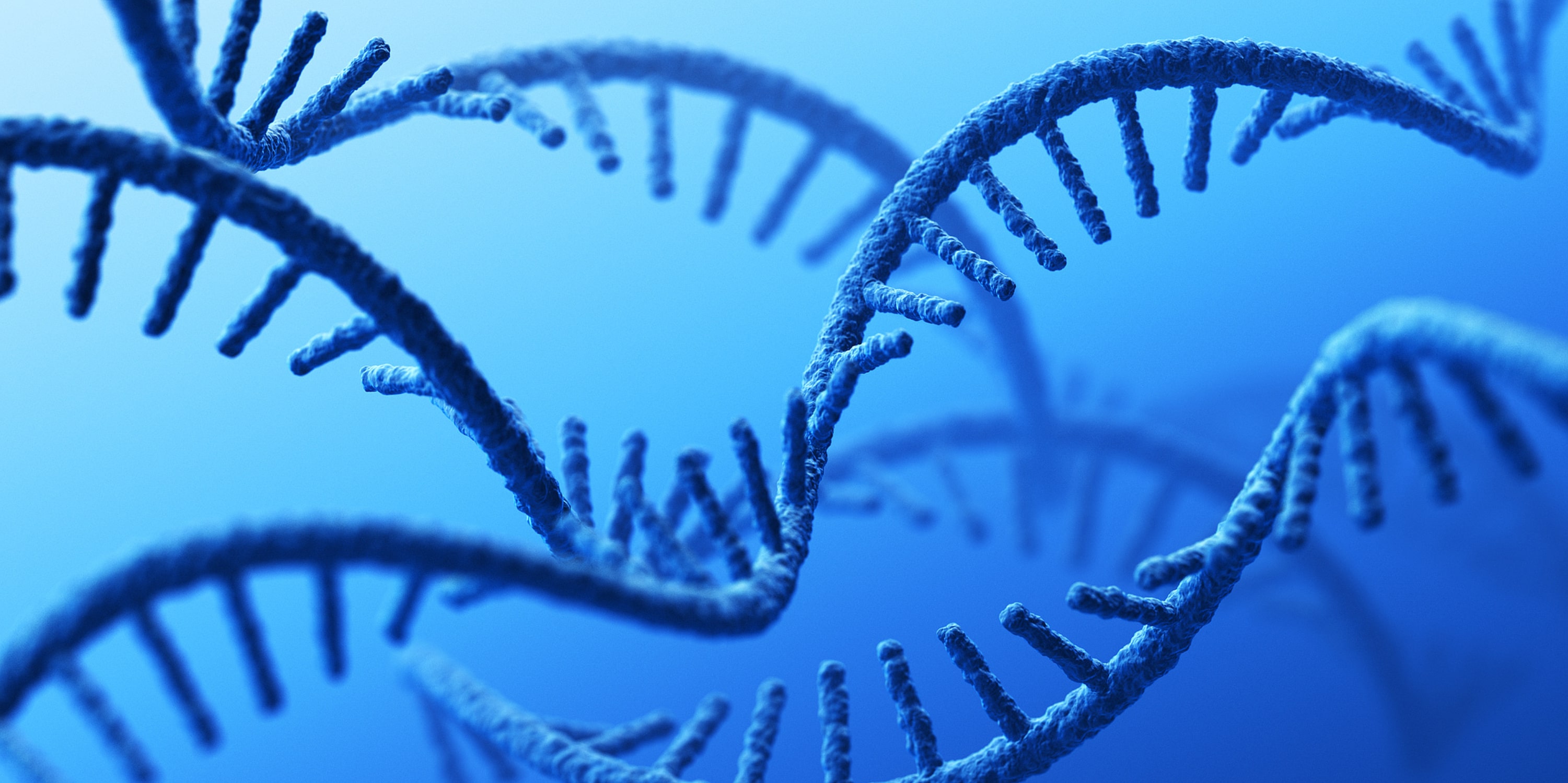 How to assess the silencing effect of siRNA?