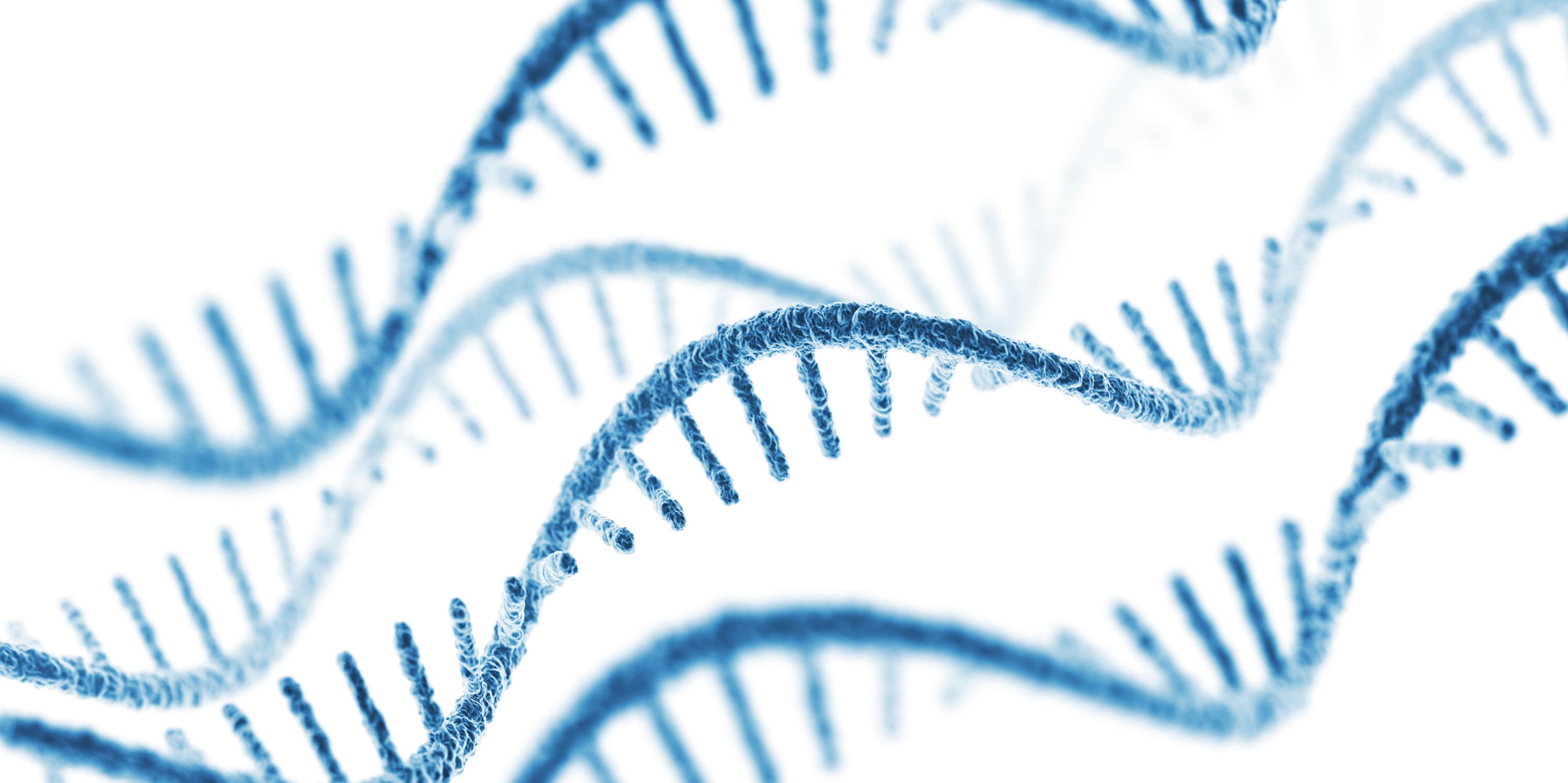 What are the main applications of siRNA?