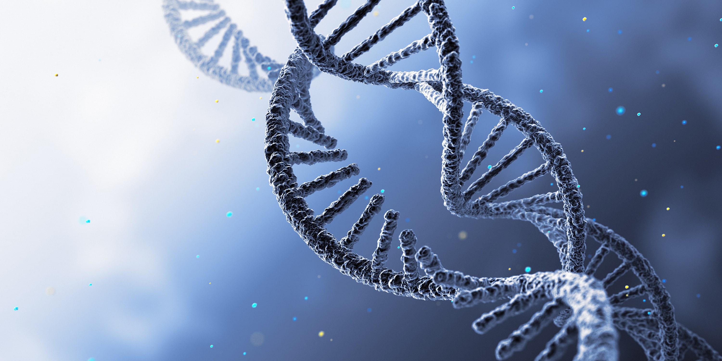 What are the differences between miRNA and siRNA?