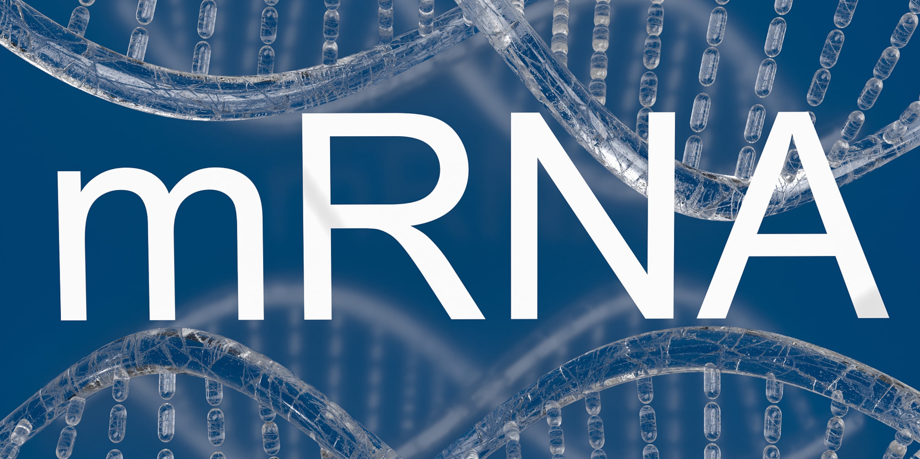 mRNA vs. Traditional Protein Drugs: Which is Better for Protein Replacement Therapy? 