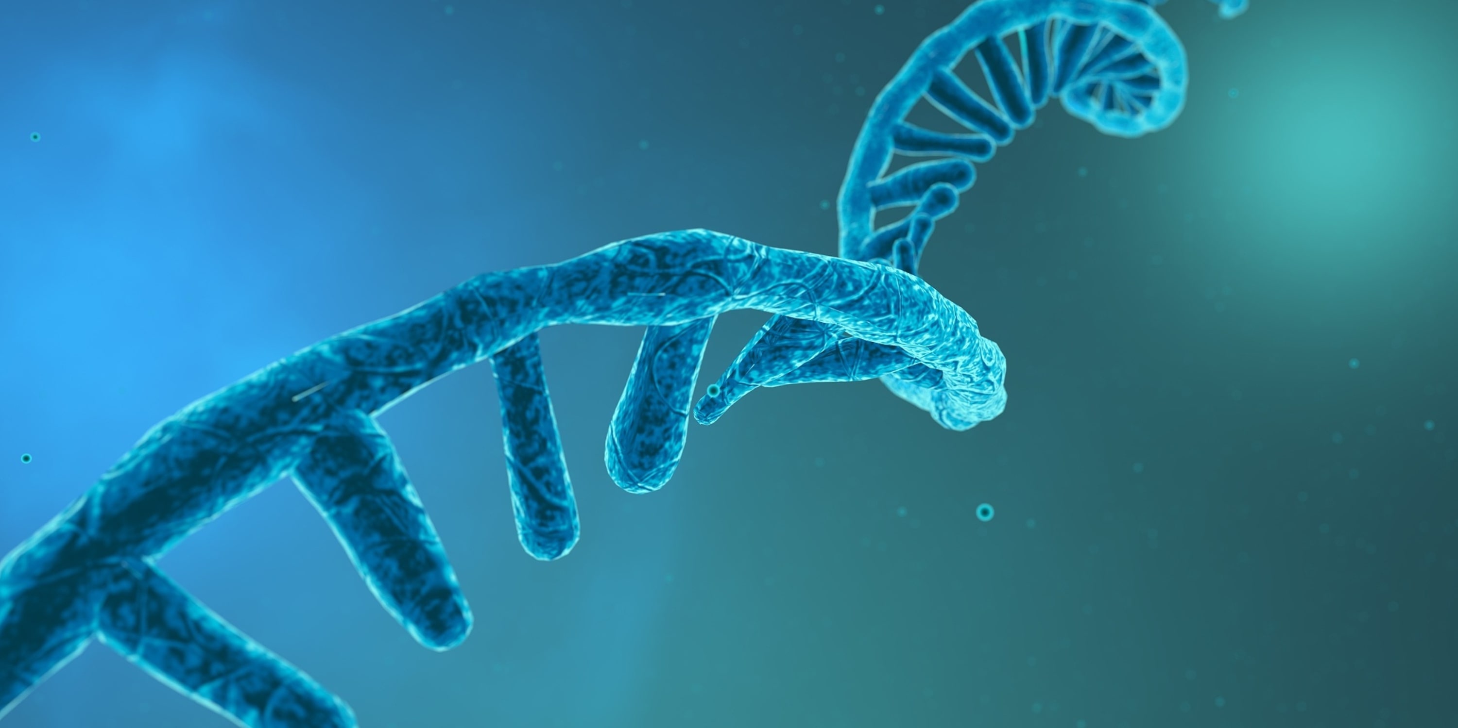 What are the key considerations in siRNA design?