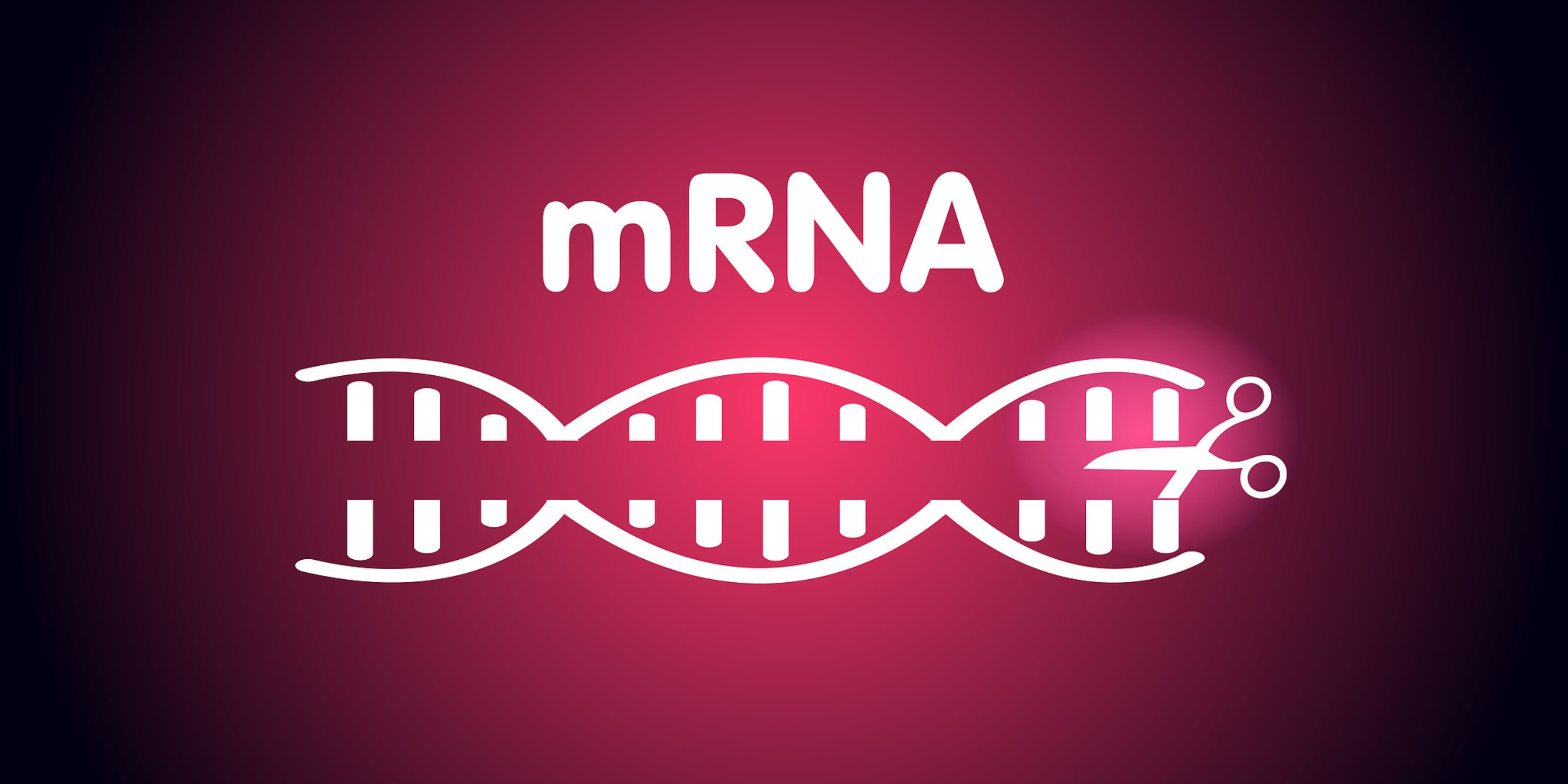 mRNA + Stem Cells: A New Frontier in Regenerative Medicine