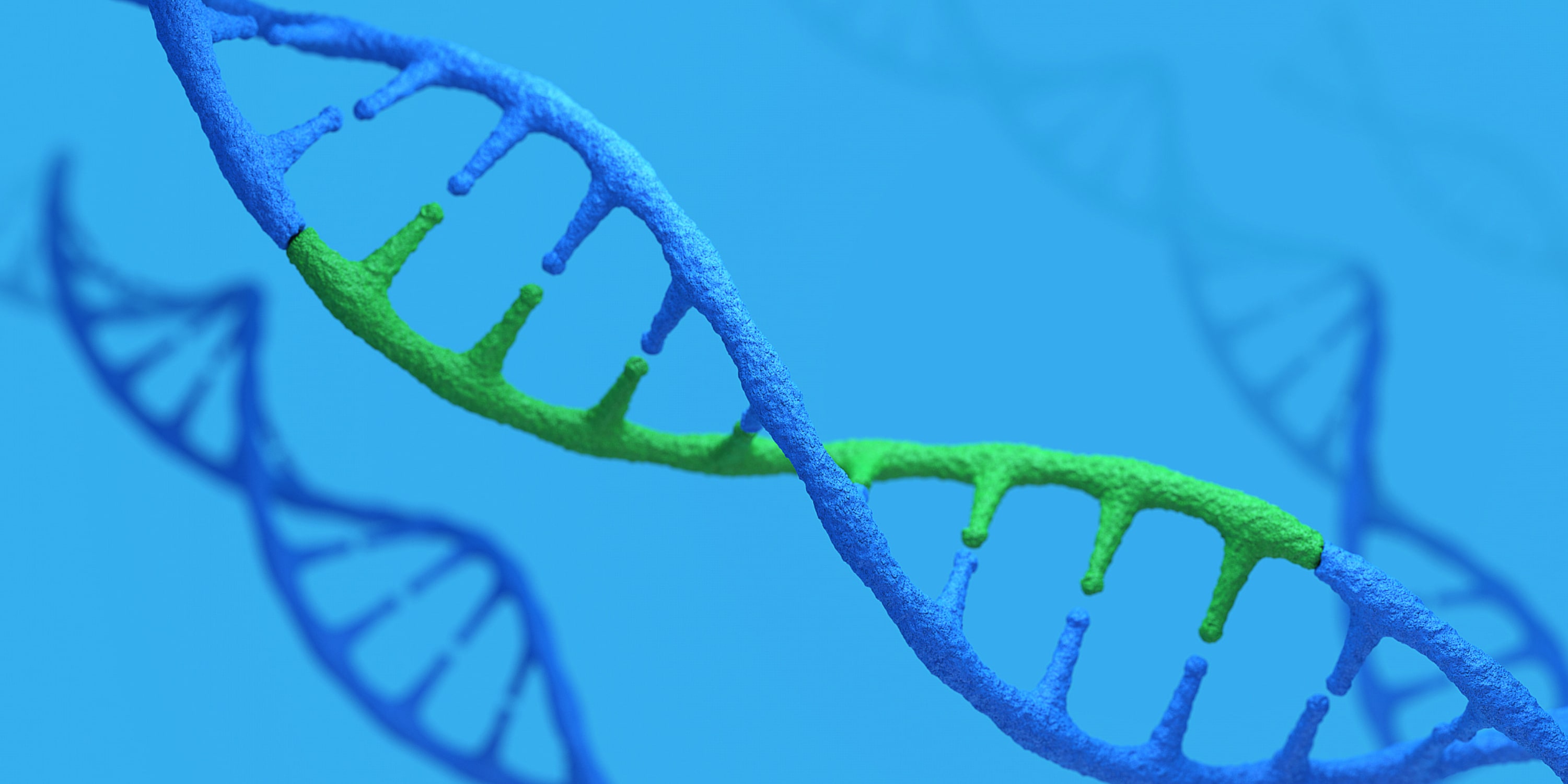 The Evolution of CRISPR Gene Editing: From sgRNA to Advanced RNA Designs