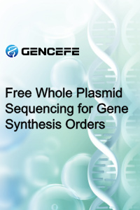Free Whole Plasmid Sequencing for Gene Synthesis Orders
