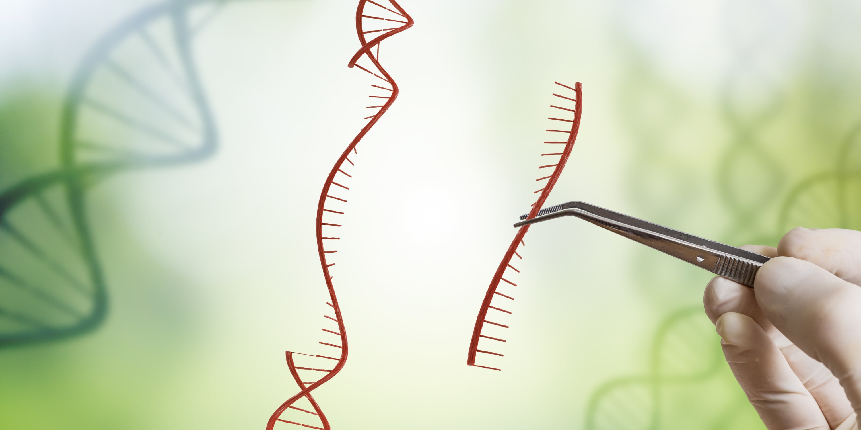 Single-Stranded DNA (ssDNA) as a Versatile Tool in Genome Engineering