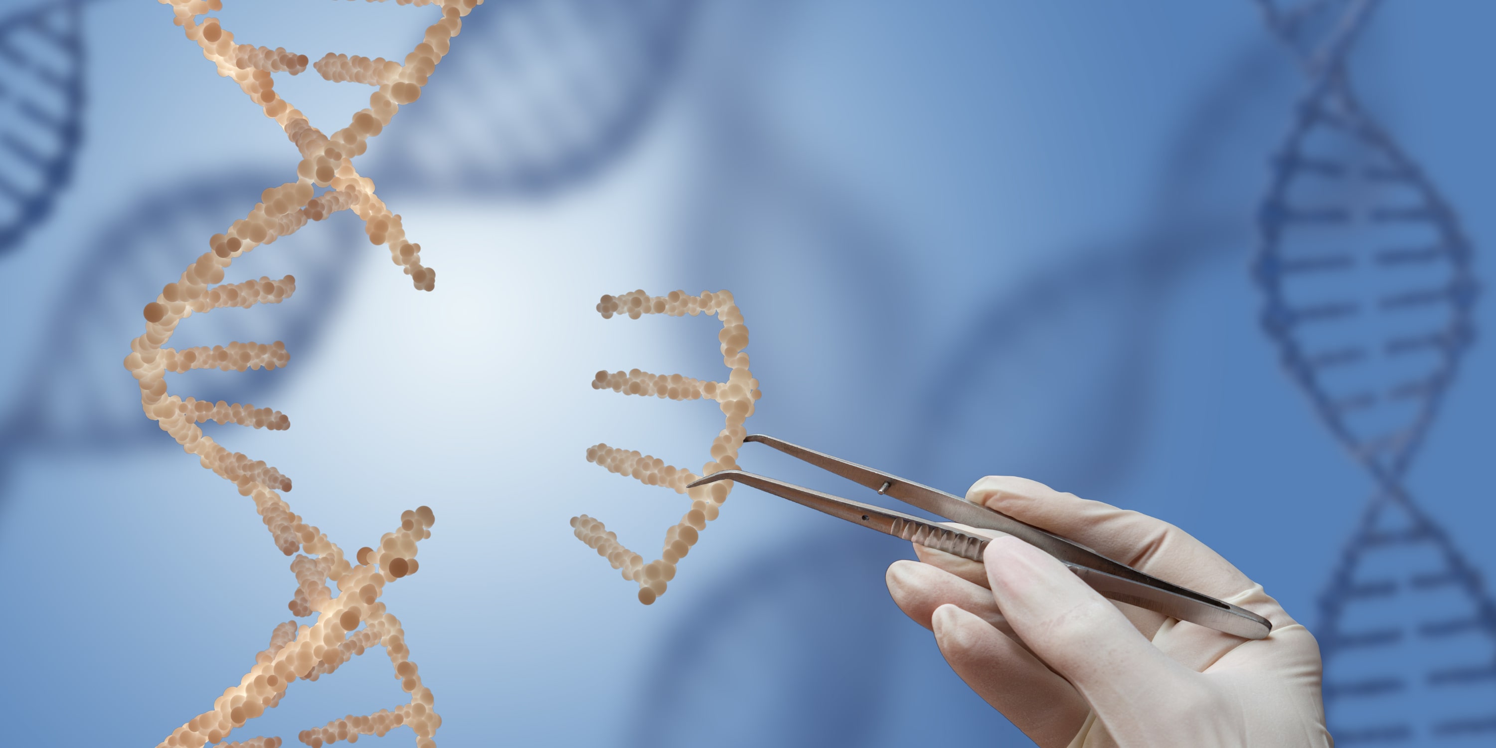 Synthetic Biology and CRISPR: Expanding Genetic Circuit Design with sgRNA and ssDNA