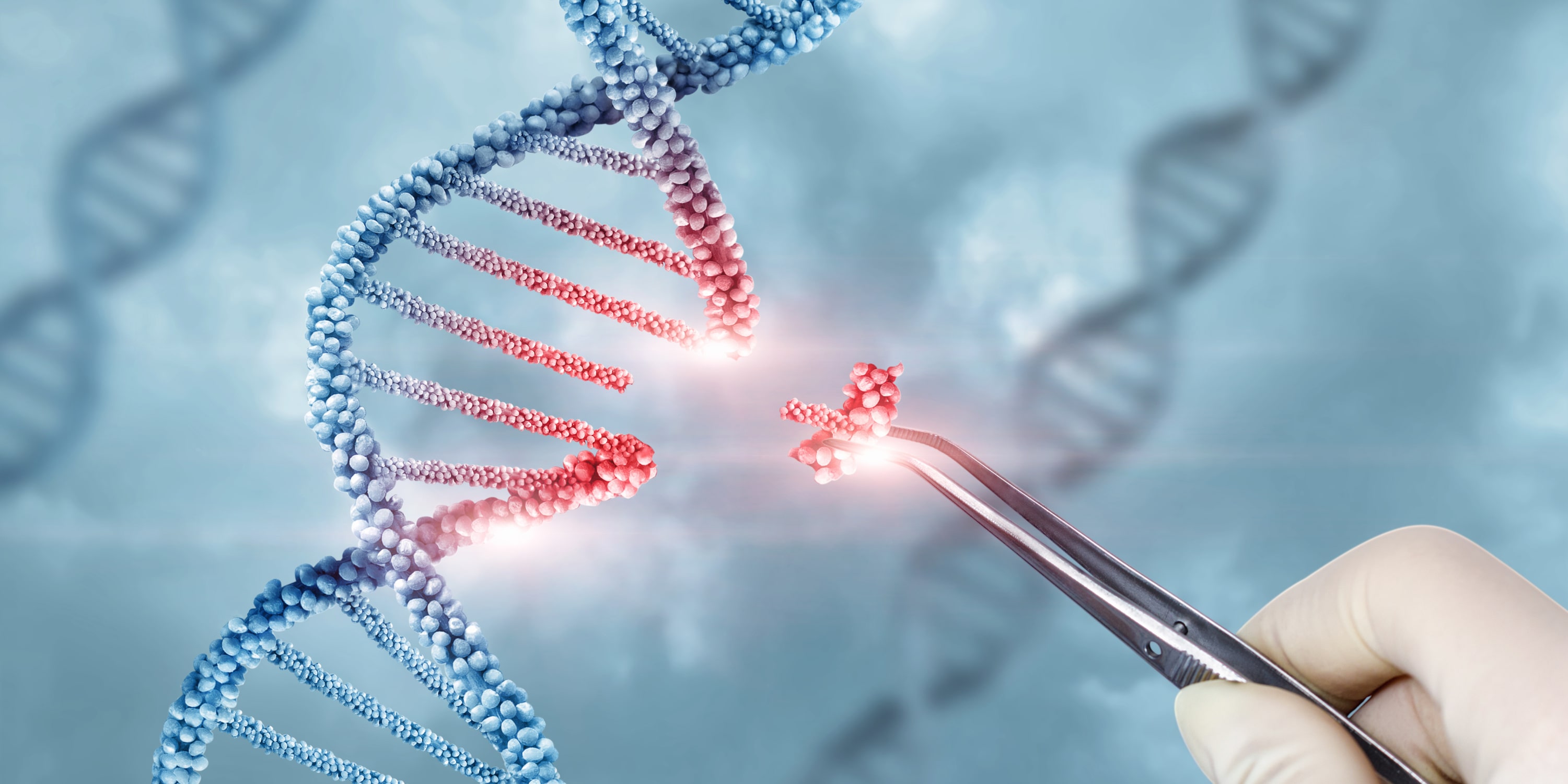 ssDNA vs dsDNA Donors: Choosing the Right Template for Your CRISPR Experiment
