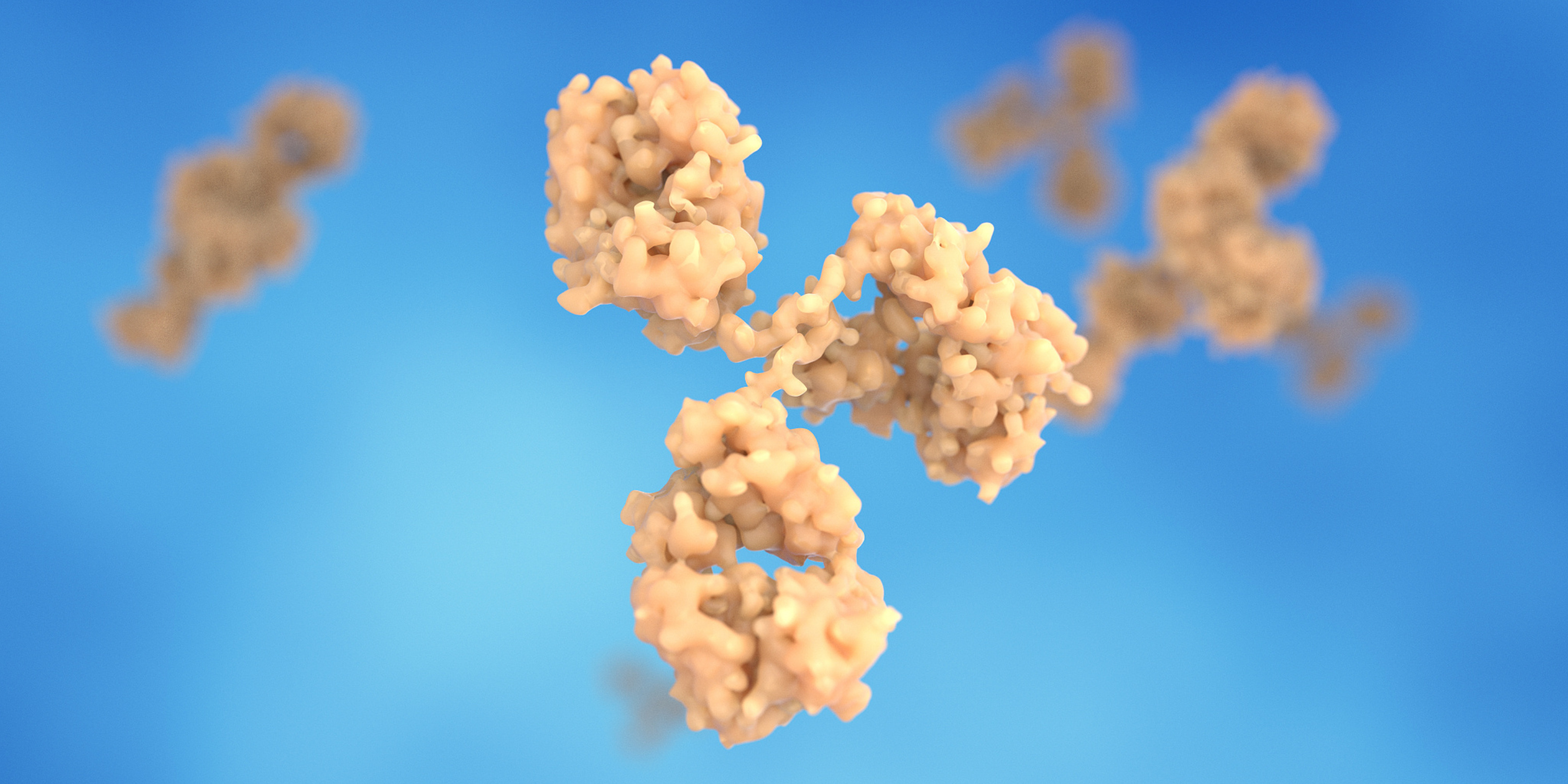 From Sequence to Purified Antibody: A Complete Workflow of Recombinant Antibody Expression
