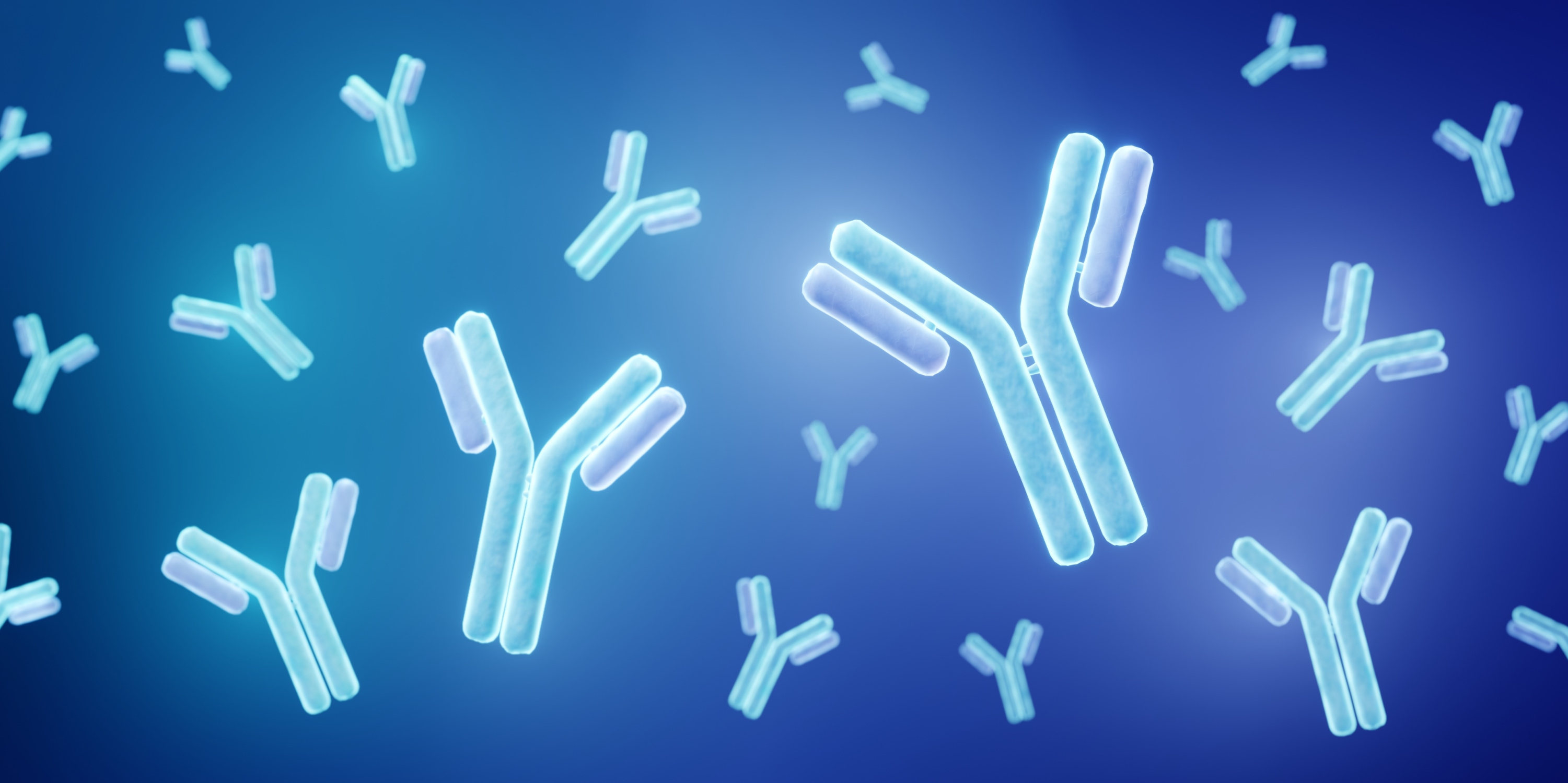 HEK293 vs. CHO: Choosing the Optimal Mammalian System for Recombinant Antibody Expression