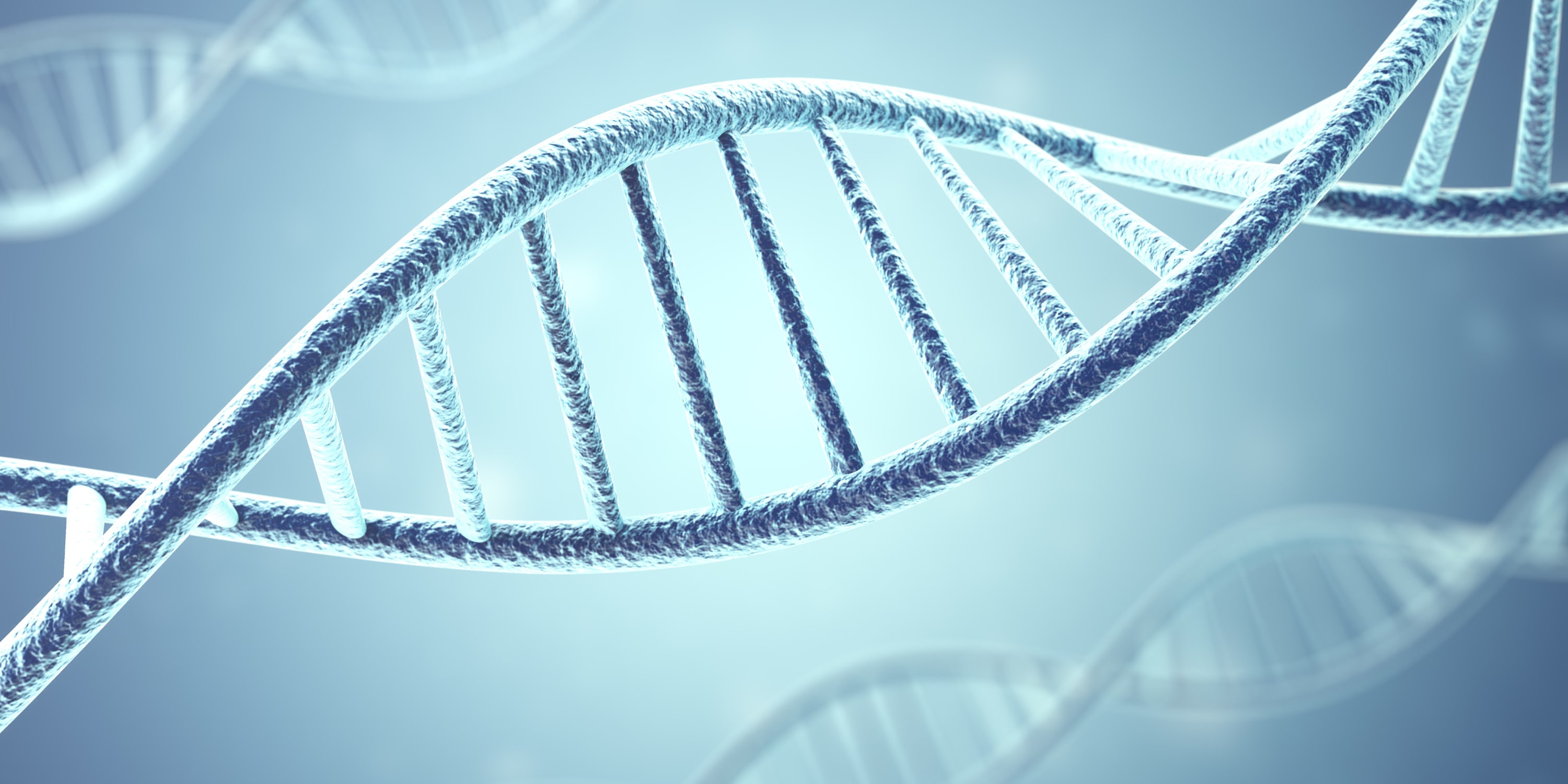 Gene Synthesis for Expression Vector Design: Essential Elements of Efficient Plasmids