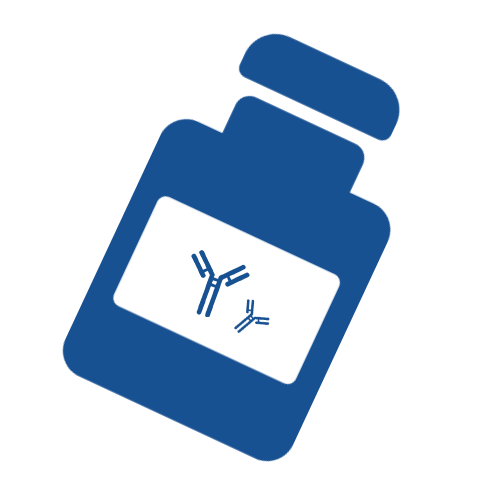 Antibody Drug Discovery