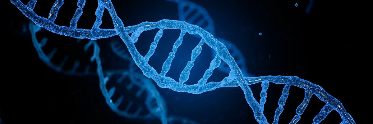 Site-directed Mutagenesis