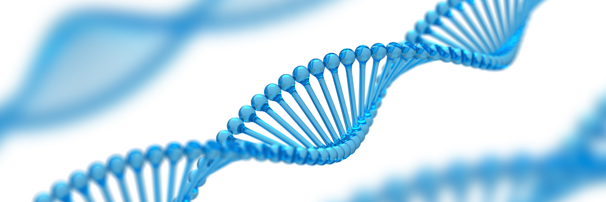 definition of subcloning definition of subcloning