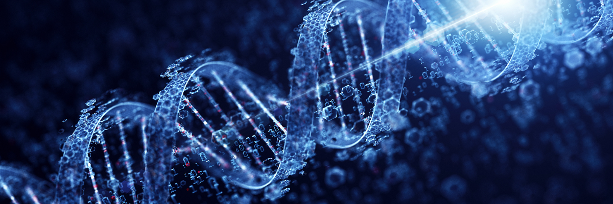 What are the different levels of plasmid preparation?