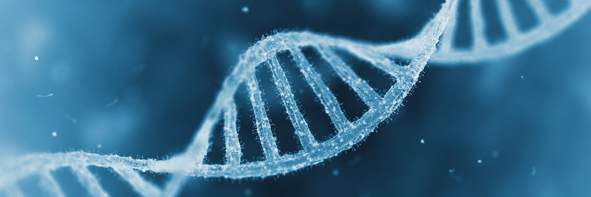 plasmid preparation, plasmid DNA prep