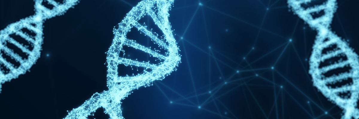 The development history of artificial gene synthesis