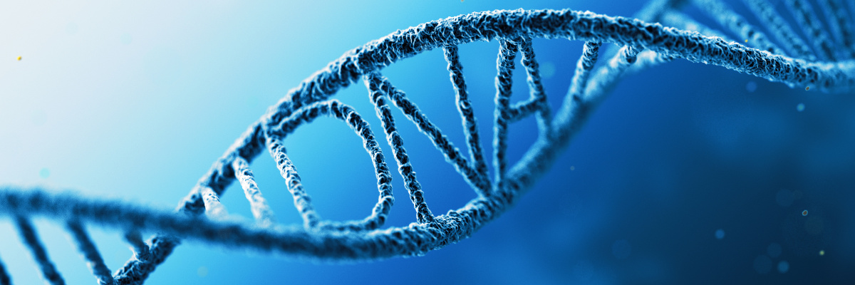 CRISPR genome editing, CRISPR plasmid design