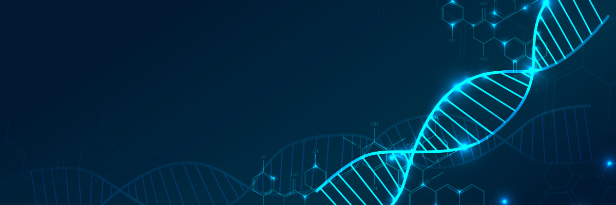expression vector design, plasmid construction