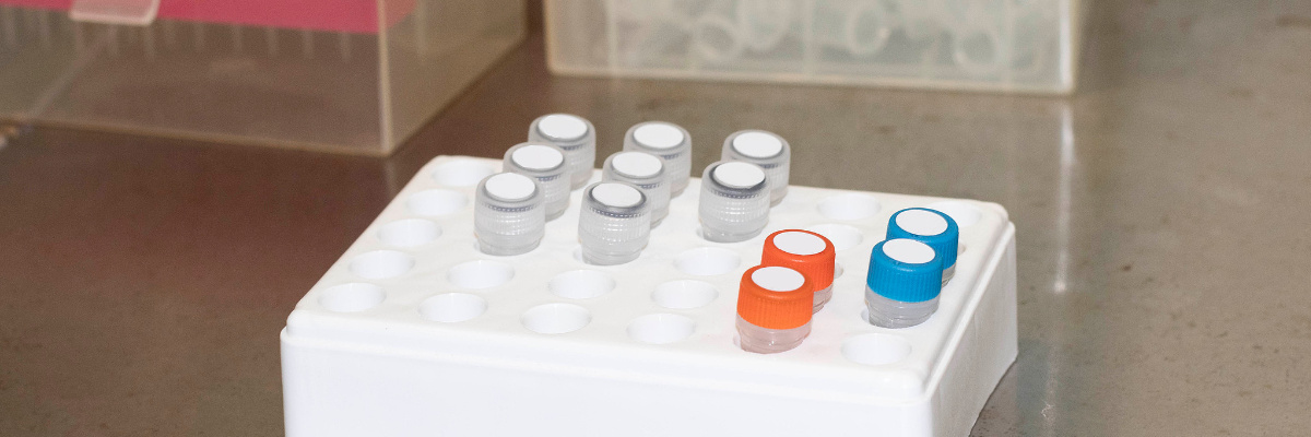 probe synthesis, oligo modifications, primer synthesis