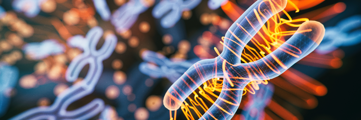 Antisense Oligo, Small nucleic acid drug, custom RNA synthesis Antisense Oligo, Small nucleic acid drug, custom RNA synthesis