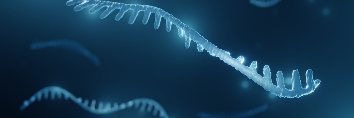 What are the unique characteristics of small nucleic acid drugs compared to small molecule drugs and antibody drugs?