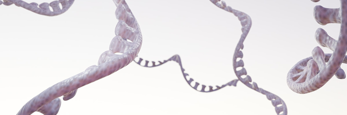 Small nucleic acid drug, custom RNA synthesis