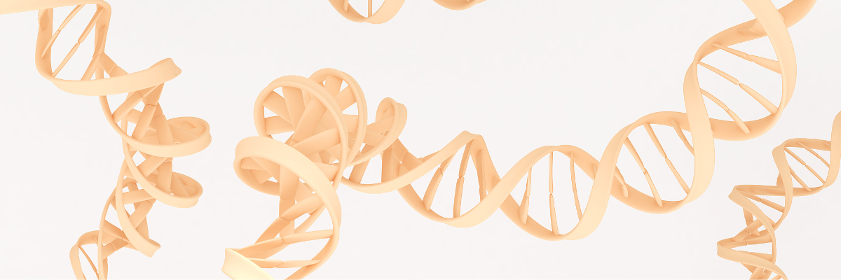 Small nucleic acid drug, custom RNA synthesis