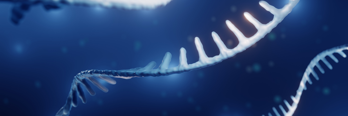 Small nucleic acid drug, custom RNA synthesis, drug delivery