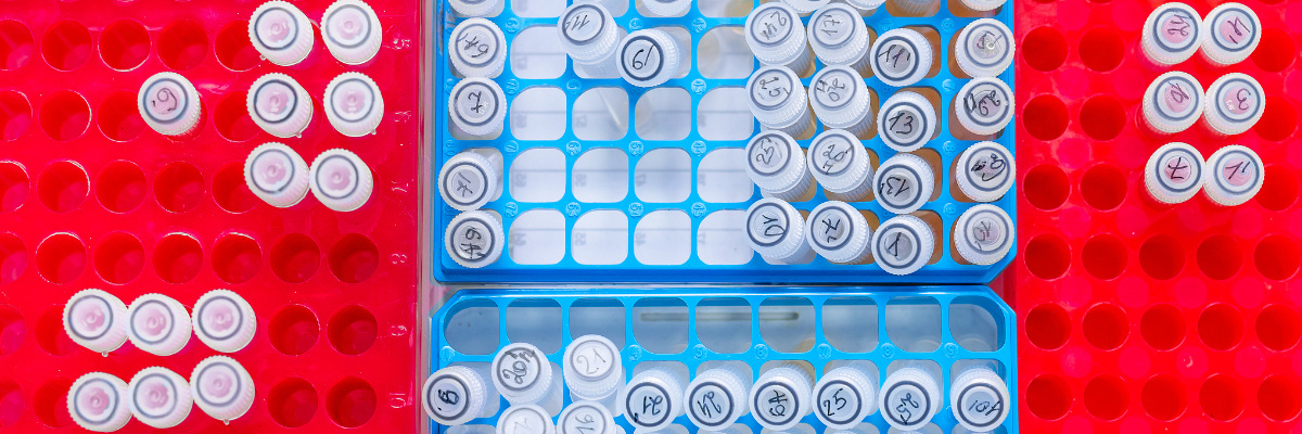 Digoxigenin modification, modified oligo Digoxigenin modification, modified oligo
