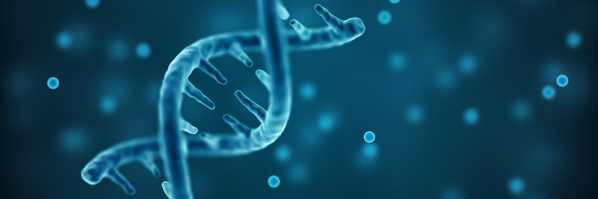  RNA modifications, custom RNA synthesis