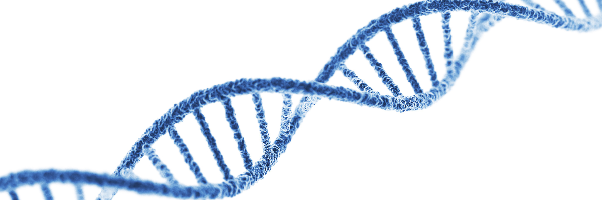 How does GalNAc help in the delivery of small nucleic acid drugs?