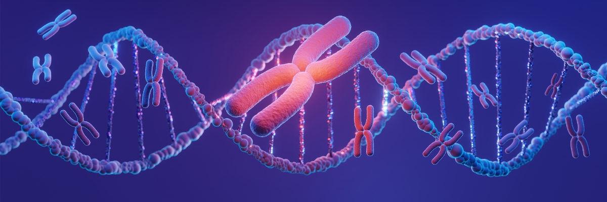 What are the key considerations in siRNA design?