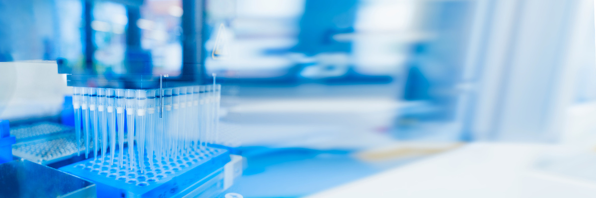 fluorescent modification, fluorescent labeling, FAM modification, TAMRA modification