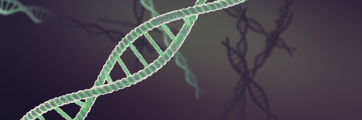 How to assess the silencing effect of siRNA?