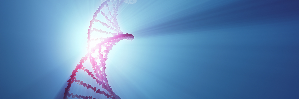What are the main applications of miRNA?