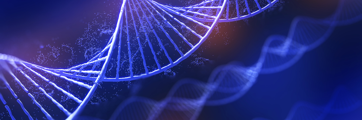 miRNA inhibitors and mimics miRNA inhibitors and mimics