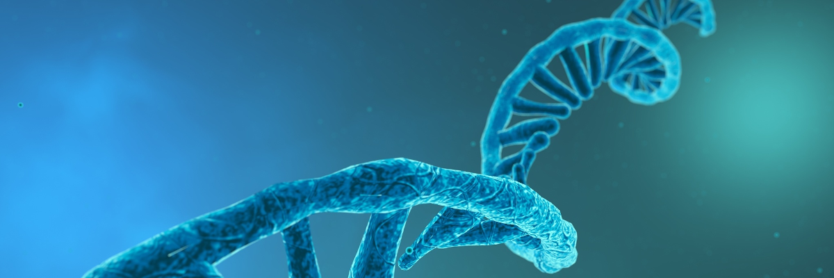 What are the differences between miRNA and siRNA?